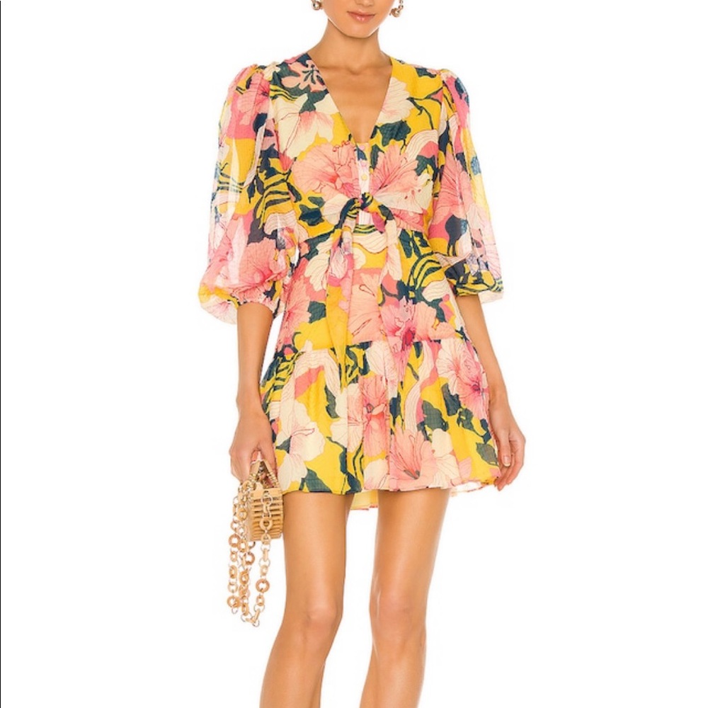 Zora short dress by Alexis